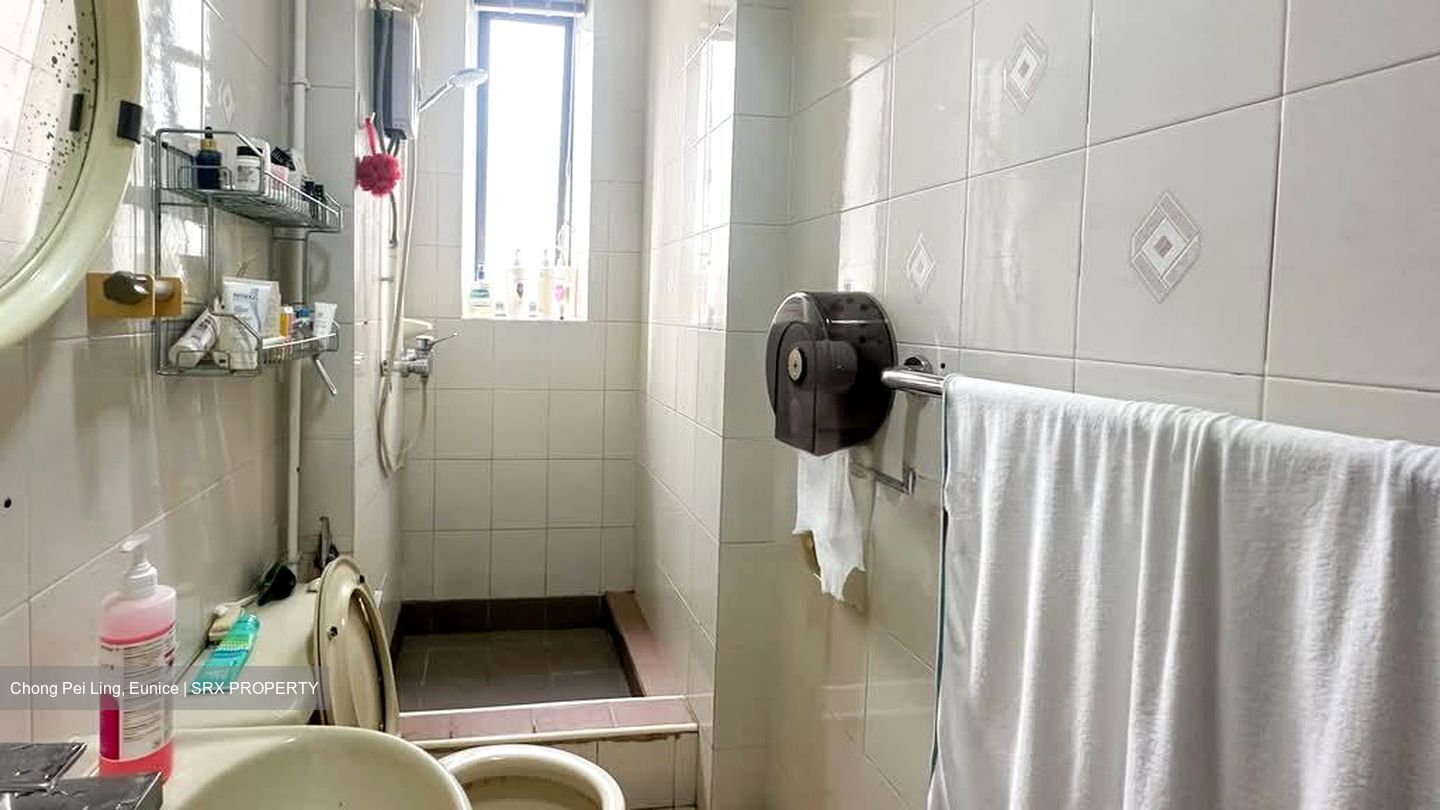 Balestier Regency (D12), Apartment #539188771